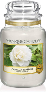 Arredamento casa - cose di casa - casa negozio - oggettistica casa - oggetti per la casa - casa nuova - accessori per la casa - negozio casa - negozi per la casa - yankee candle - arredamento casa online - yankee candle offerte - yankee candle prezzi - candele profumate - candele yankee candle - essenza yankee - yankee candle olbia - candele olbia - cereria olbia - Olbia - negozio di yankee candle - giara grande - camelia blossom