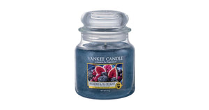 Arredamento casa - cose di casa - casa negozio - oggettistica casa - oggetti per la casa - casa nuova - accessori per la casa - negozio casa - negozi per la casa - yankee candle - arredamento casa online - yankee candle offerte - yankee candle prezzi - candele profumate - candele yankee candle - essenza yankee - yankee candle olbia - candele olbia - cereria olbia - Olbia - negozio di yankee candle - giara media - mulberry & fig delight