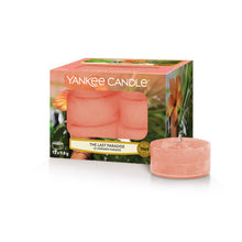 Carica l&#39;immagine nel visualizzatore di Gallery, Arredamento casa - cose di casa - casa negozio - oggettistica casa - oggetti per la casa - casa nuova - accessori per la casa - negozio casa - negozi per la casa - yankee candle - arredamento casa online - yankee candle offerte - yankee candle prezzi - candele profumate - candele yankee candle - essenza yankee - yankee candle olbia - candele olbia - cereria olbia - Olbia - negozio di yankee candle - tea light - the last paradise 