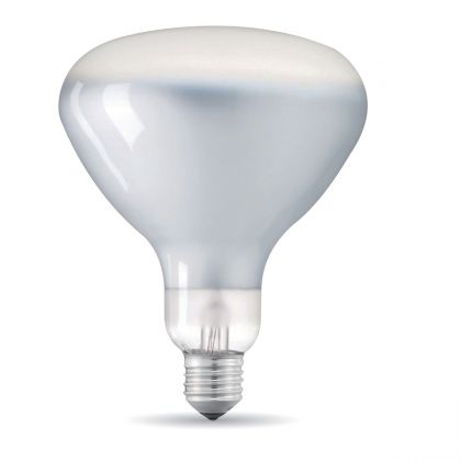 Lampadina per lampada da sospensione Flos Parentesi