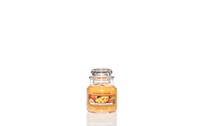 Yankee Candle, Mango Peach Salsa, giara piccola, candele profumate, profumi, regalo, colori, candele americane