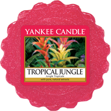 Carica l&#39;immagine nel visualizzatore di Gallery, Yankee Candle, Tropical Jungle, tropicale, giungla, cialda, candele profumate, profumi, regalo, colori, candele americane 