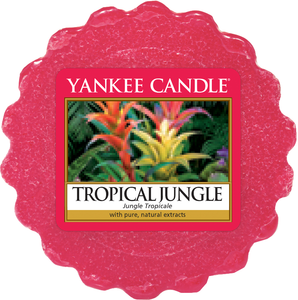 Yankee Candle, Tropical Jungle, tropicale, giungla, cialda, candele profumate, profumi, regalo, colori, candele americane 