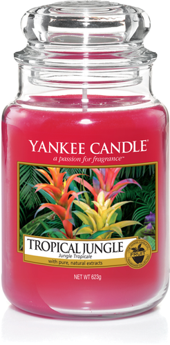 Yankee Candle, Tropical Jungle, tropicale, giungla, giara grande, candele profumate, profumi, regalo, colori, candele americane 