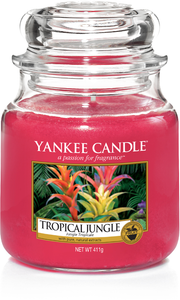 Yankee Candle, Tropical Jungle, tropicale, giungla, giara media, candele profumate, profumi, regalo, colori, candele americane 