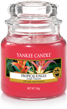 Carica l&#39;immagine nel visualizzatore di Gallery, Yankee Candle, Tropical Jungle, tropicale, giungla, giara piccola, candele profumate, profumi, regalo, colori, candele americane 